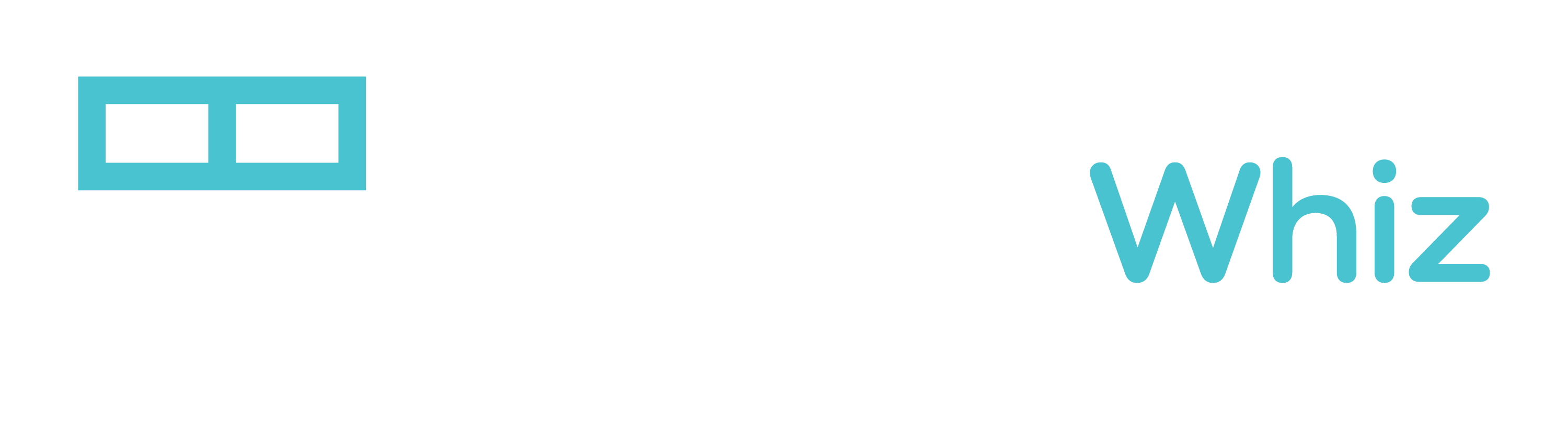 Window Whiz Logo